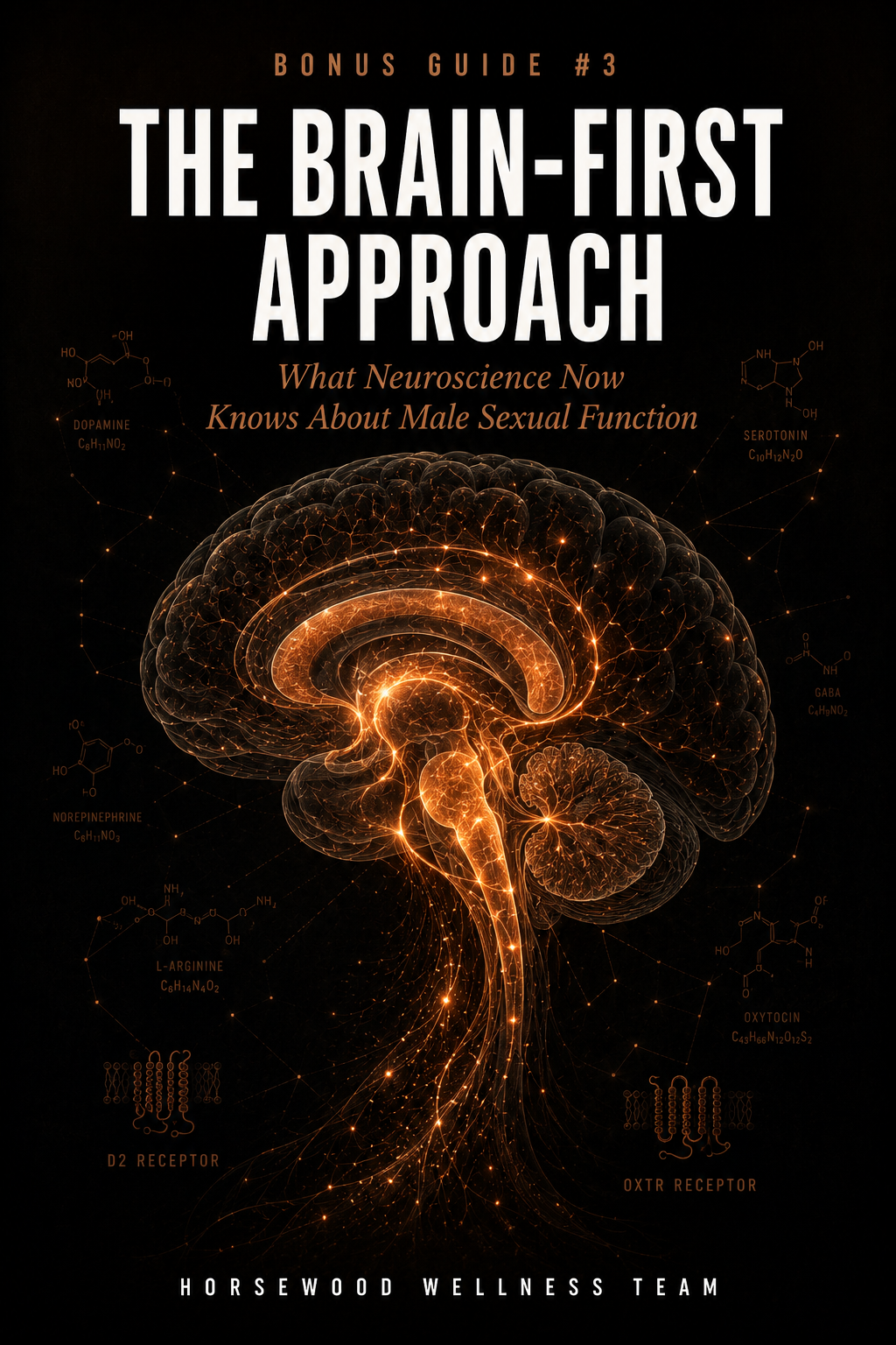The Brain-First Approach digital bonus guide